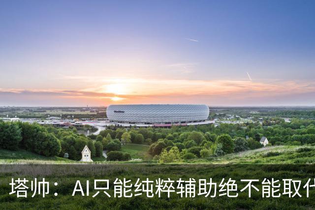 塔帅：AI只能纯粹辅助绝不能取代直觉 我们从未考虑将道曼外租